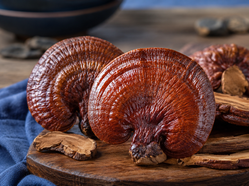 Reishi